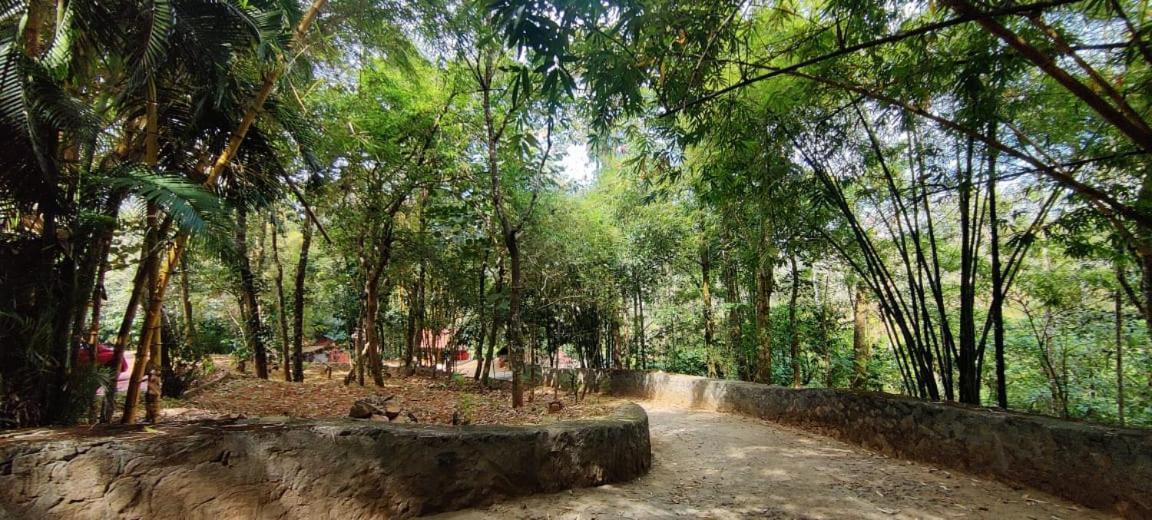 Clay Resort By Bestinn Leisure - Wayanad Padinjarathara Ngoại thất bức ảnh