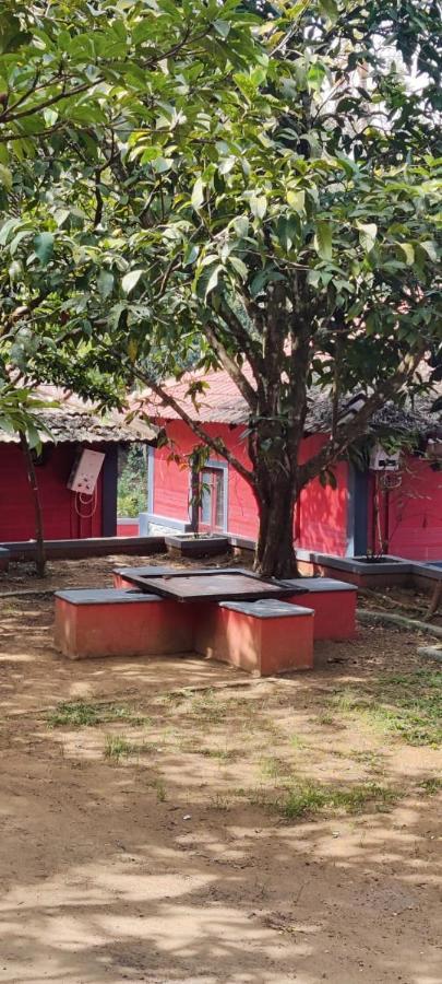 Clay Resort By Bestinn Leisure - Wayanad Padinjarathara Ngoại thất bức ảnh